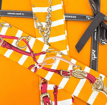 Load image into Gallery viewer, HERMES Brides de Gala Bayadere Silk Twilly Bandeau Set - Orange