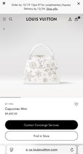 Load image into Gallery viewer, LOUIS VUITTON 2024 - LIMITED EDITION - Capucines Mini Ski Snowflake Satchel Bag