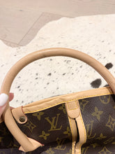 Load image into Gallery viewer, LOUIS VUITTON Vintage Monogram Garment Cover
