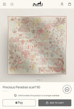 Load image into Gallery viewer, HERMES Precious Paradise scarf 90 / Argent / Rose / Aqua
