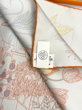 Load image into Gallery viewer, HERMES Precious Paradise scarf 90 in Argent / Rose / Aqua
