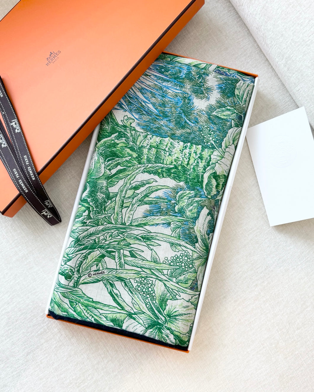 HERMES 2024 All'Orto Botanico di Palermo Shawl 140 / Vert Vif / Naturel / Bleu