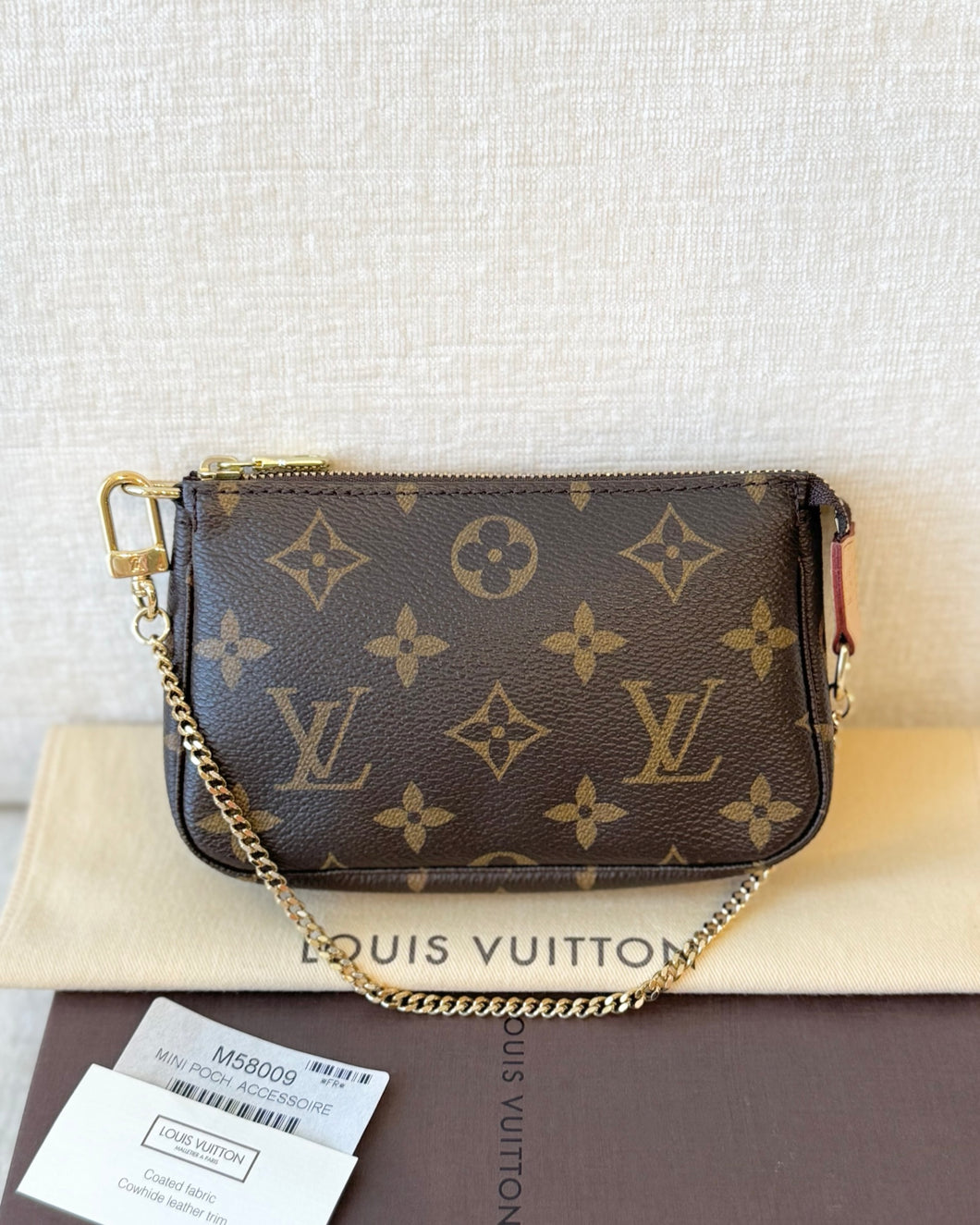 LOUIS VUITTON Monogram Canvas Mini Pochette Accessories