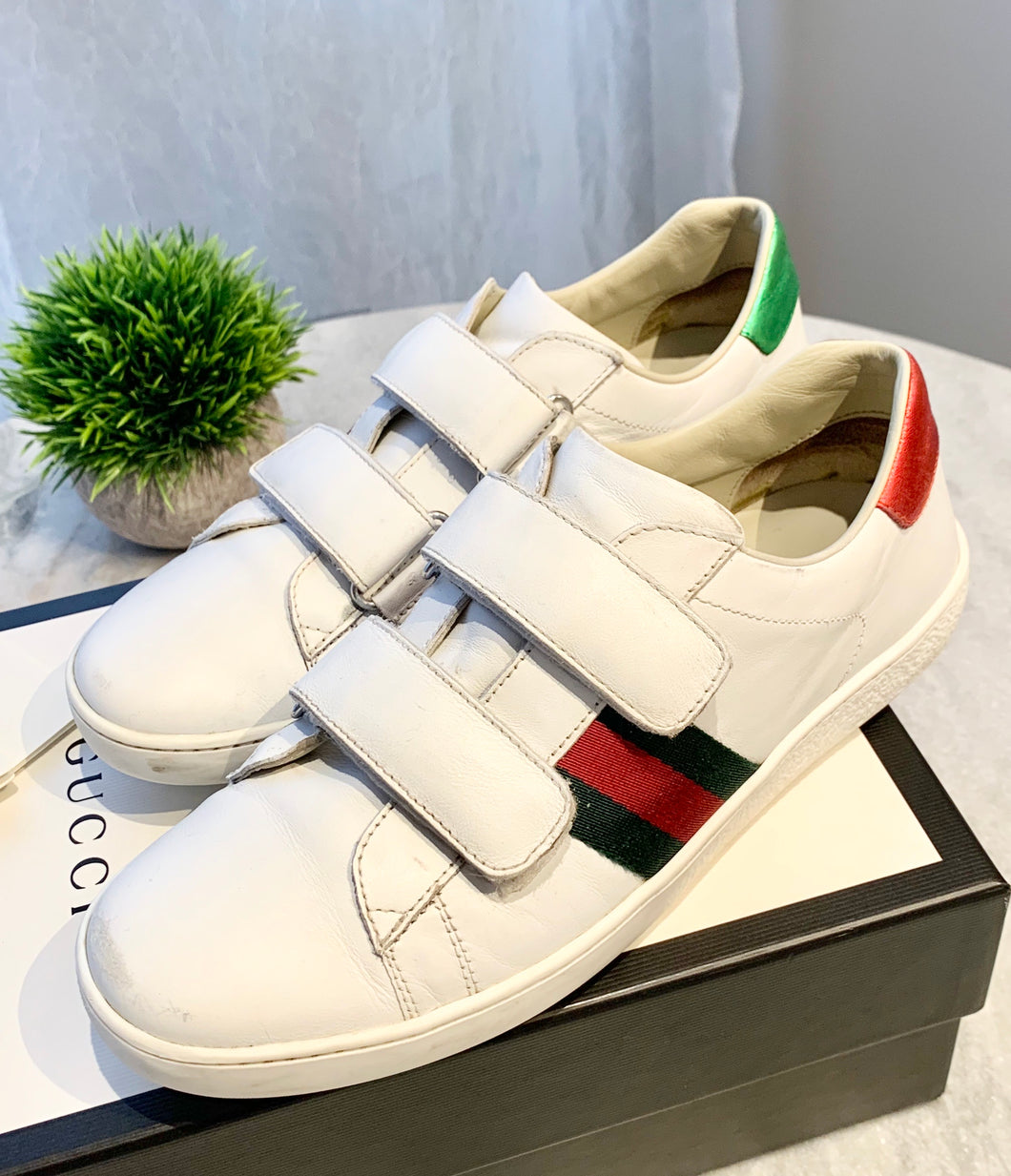 GUCCI New Ace Logo Sneakers In White EU37